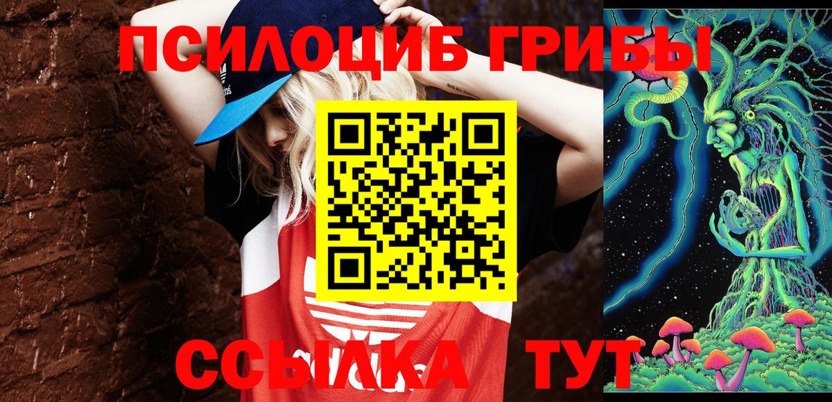 Тула  Псилоцибиновые грибы ЛСД  наркотики  Вход с VPN 