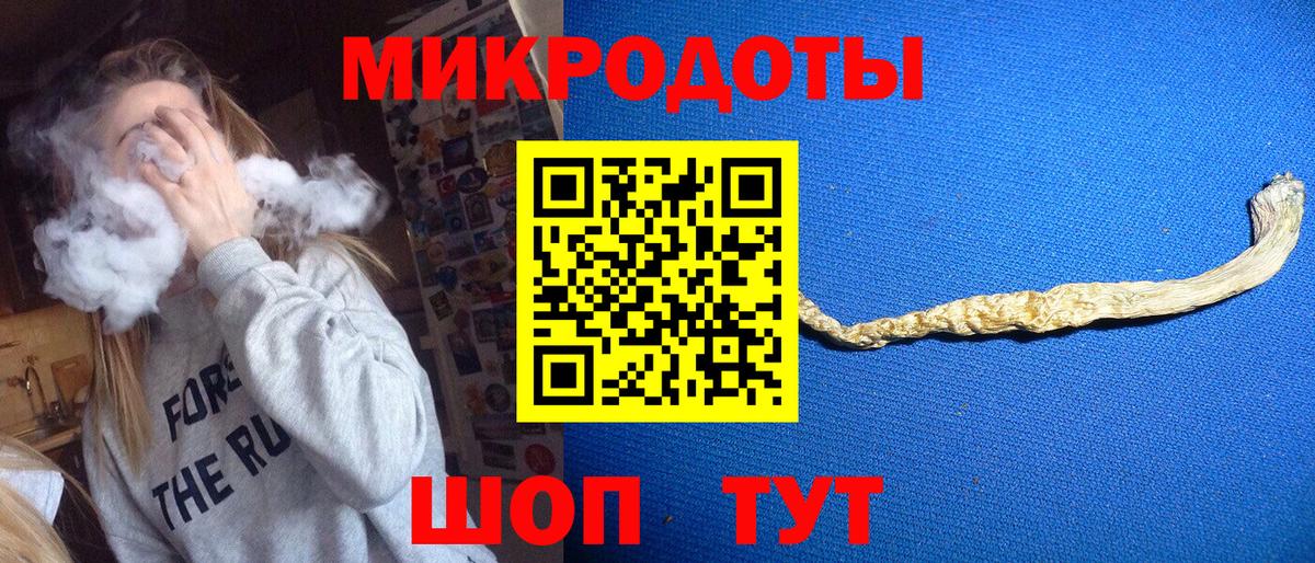 Галлюциногенные грибы Psilocybine cubensis Тула
